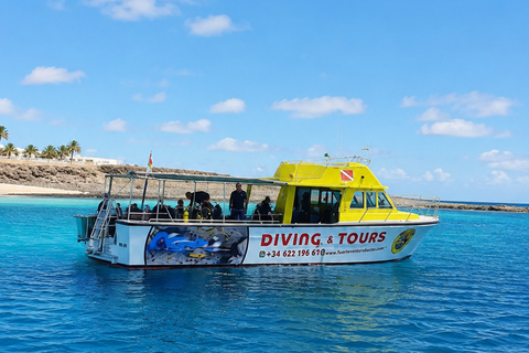 Fuerteventura: First-Time Boat Diving Experience - Introduction to Diving