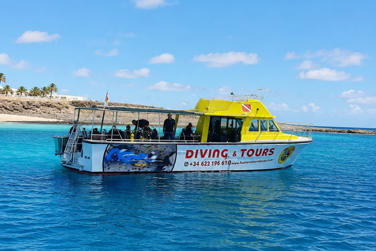 Fuerteventura: First-Time Boat Diving Experience - Introduction to Diving