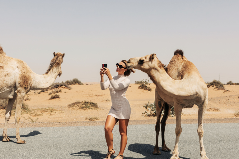 4-Day Private Desert Trip to Zagora & Merzouga From Agadir