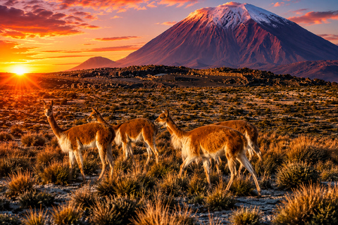 Arequipa: Colca Valley and Flight of the Condor – All-Inclusive Full Day Arequipa: Colca Valley and Flight of the Condor – Full-Day All-Inclusive