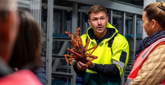 Official Sydney Fish Market Behind the Scenes Tour