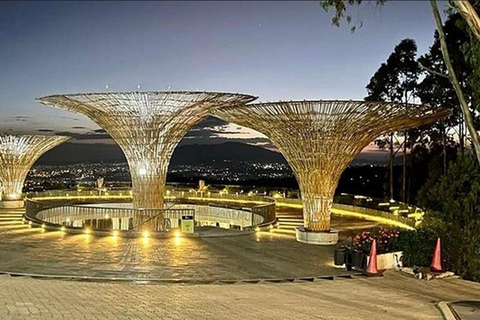 Addis Ababa: VIP Nightlife & Cultural Music Tour with Guide
