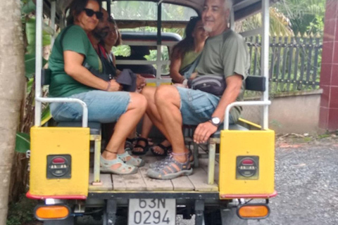 Cidade de Ho Chi Minh: Túneis de Cu Chi e viagem de 1 dia ao Delta do Mekong