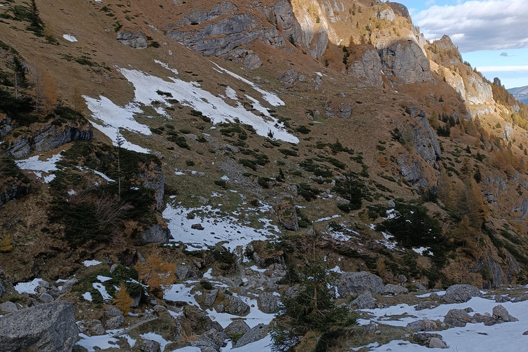 Brasov: Malaiesti Mountain Hut Guided Hike