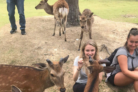 Nara Gardens and Temples Private Guided Tour with Transport