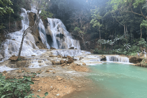 Luang Prabang: Besichtigung der Kuang Si Wasserfälle, Schwimmen, Rafting