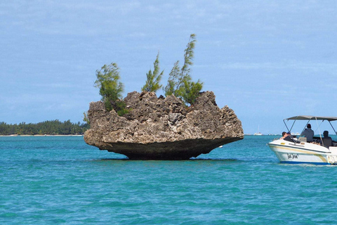 Île aux Bénitiers: Nado con delfines y comida barbacoa