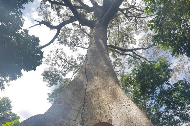 Amazon Safari® Manaus: Dagsutflykt på Amazonfloden