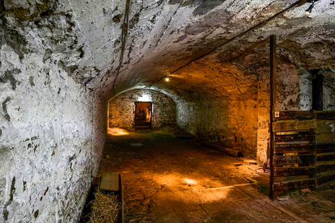 Edimburgo: tour al Mary King&#039;s CloseTour in inglese