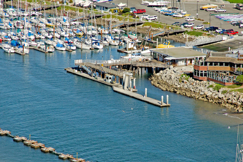 Redwood Forest Santa Cruz Harbor Day Trip from San Francisco