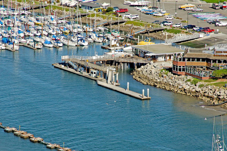 Redwood Forest Santa Cruz Harbor Day Trip from San Francisco