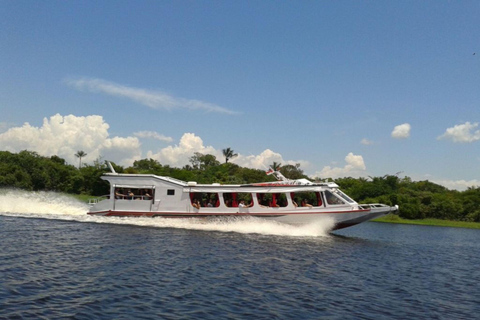 Tour Safari Amazônico em Manaus (Compartilhado)