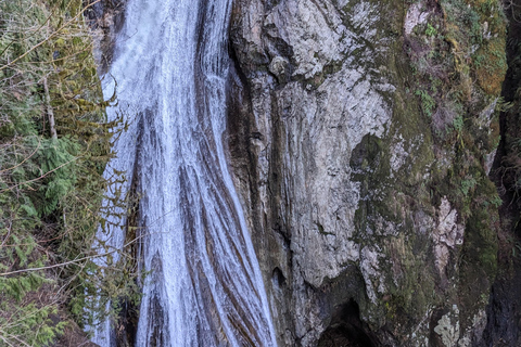Snoqualmie, Twin Falls & Ancient Forest (Transport Included)