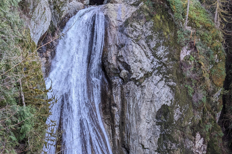 Snoqualmie, Twin Falls & Ancient Forest (Transport Included)