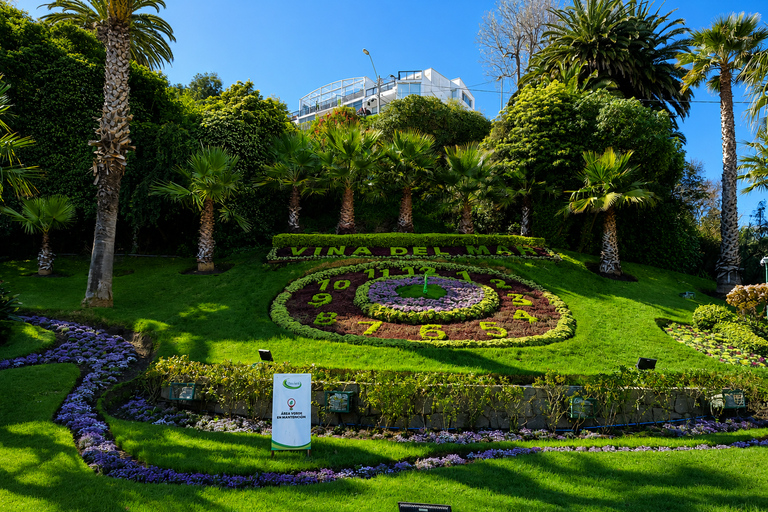 Sightseeing tour in Viña del Mar, including visits to museums