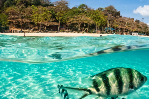 Pattaya: Koh Talu & 7 Islands Speedboat Tour with Lunch