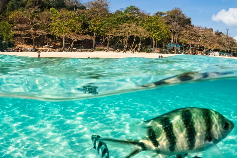 Pattaya: Koh Talu & 7 Islands Speedboat Tour with Lunch