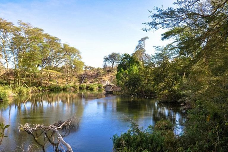 Nairobi: Safari di 6 giorni ai laghi della RiftValley e al Masai Mara con ...