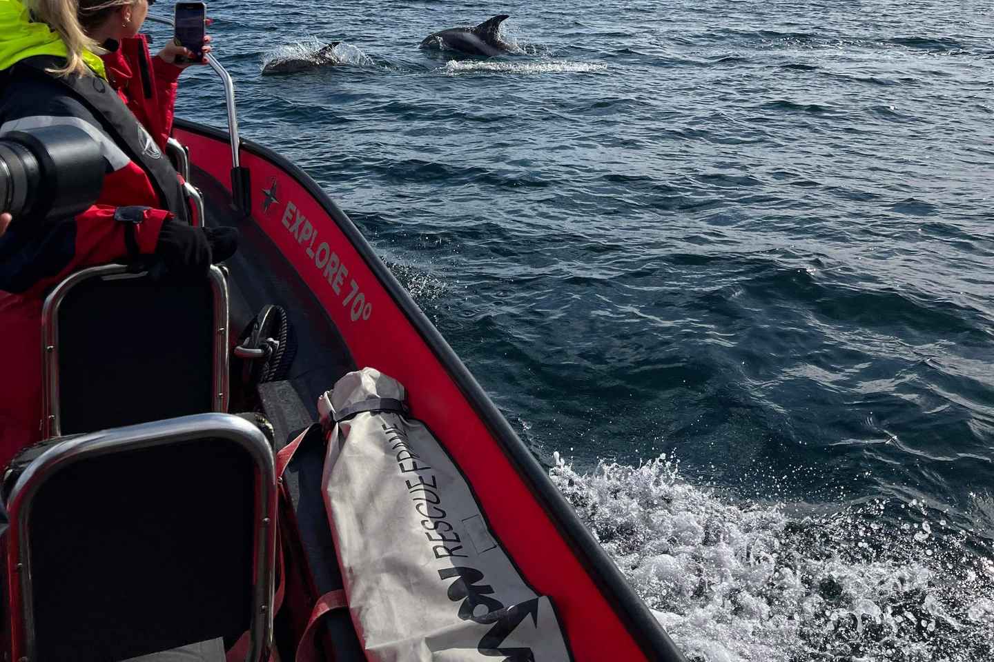 Skjervøy: Birds and Wildlife of Arctic Norway