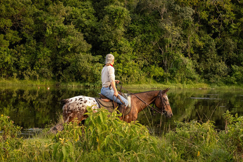 Passeio a cavalo pela manhã em Dolly Estate: Vida selvagem e vistas panorâmicas