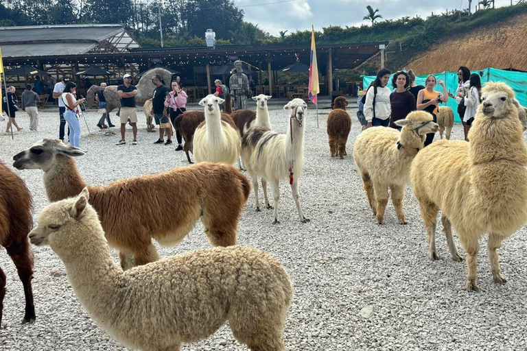 Tour Guatapé con visita a Granja de las Llamas y las Alpacas