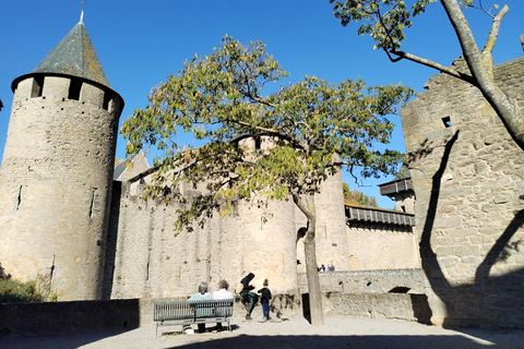 Carcassonne: Private Guided Tour with Castle Entry Ticket