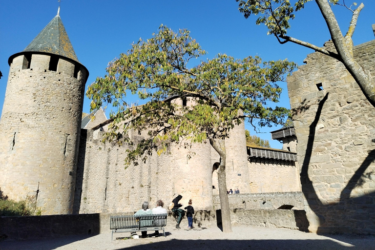 Carcassonne: Private Guided Tour with Castle Entry Ticket