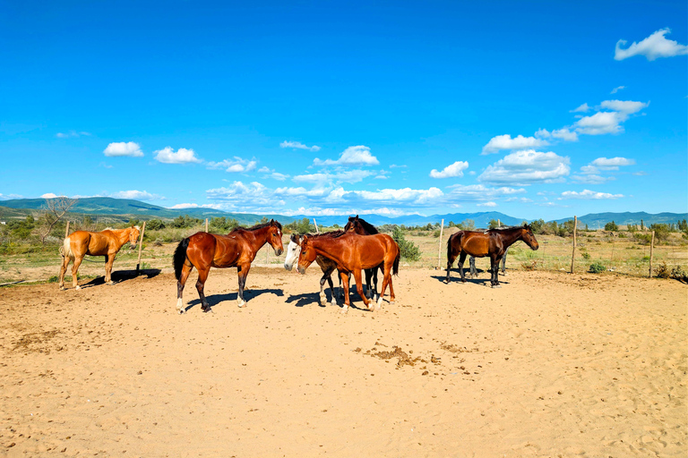 From Tbilisi: Guided Horseback Riding Tour with Transfer 1-Hour Horseback Riding with Round-Trip Transfer