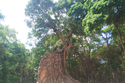 From Phnom Penh: 7-Day Private Tour to Siem Reap