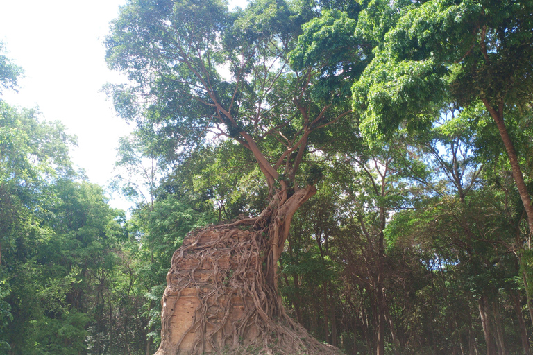 From Phnom Penh: 7-Day Private Tour to Siem Reap