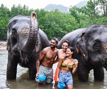 Elephant Bathing Session at Krabi Elephant Shelter