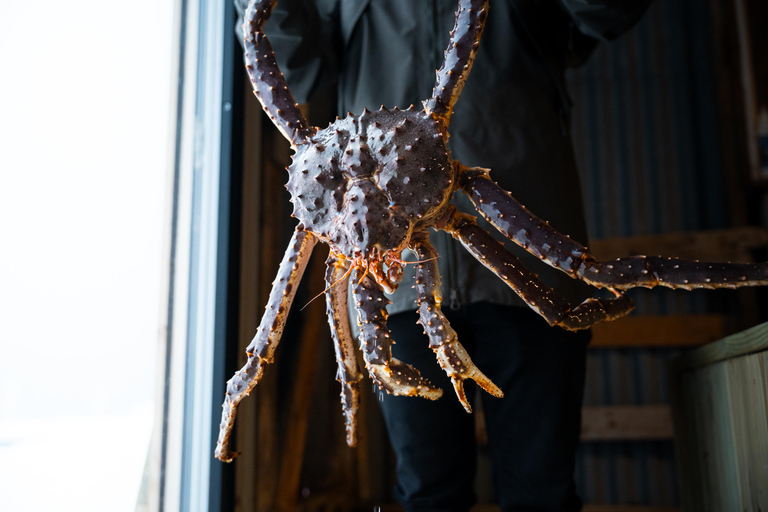 Tromsø : Expérience culinaire du crabe royal