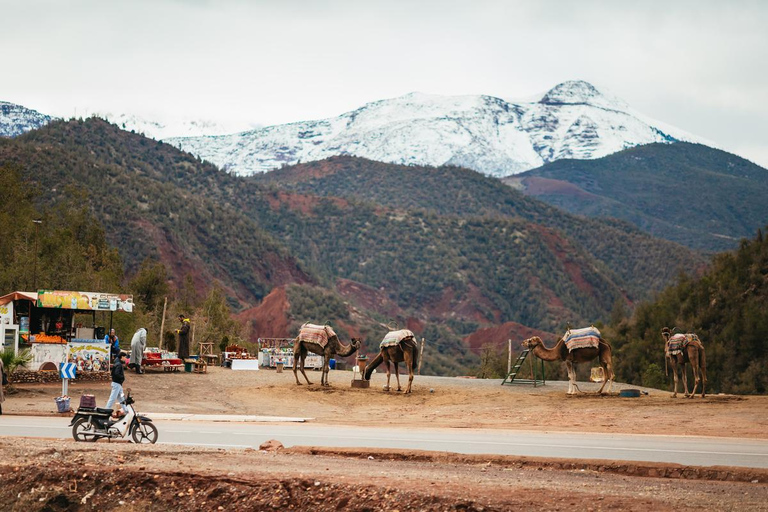 Marrakech: Ourika Waterfalls, Atlas Mountains, Guide & Lunch Guided Ourika Valley Day Trip with Lunch Included (Top Pick)