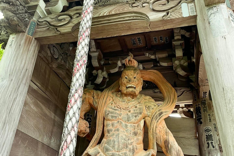 Hiroshima : Visite privée de Miyajima avec un guide local 5 heuresMiyajima 5 heures