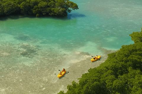 Kayak + Guided Snorkel & Morning Sail