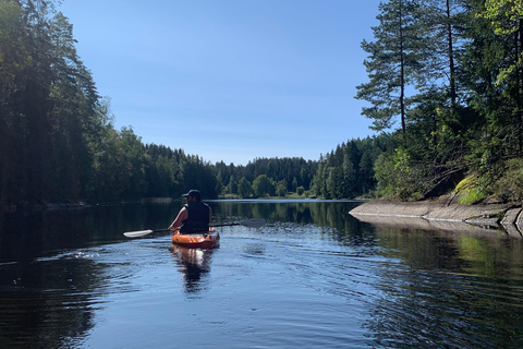 Oslo: Guided Kayak Tour on Lake Langen with Lunch