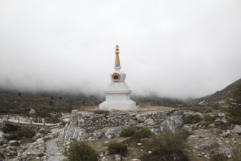Från Katmandu: 7-dagars vandring i Langtangdalen