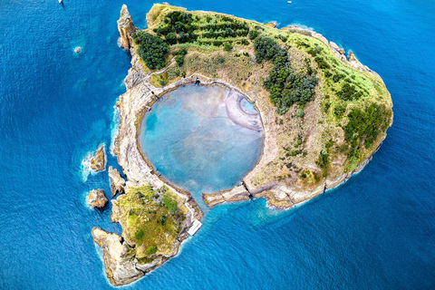 Vila Franca do Campo: Try Scuba Diving for the first time!
