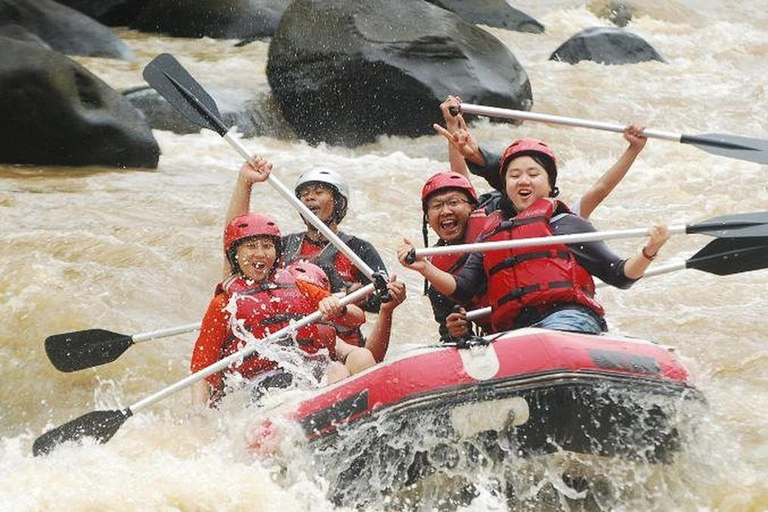 من المنحدرات إلى الاسترخاء: التجديف في بالي وملاذ السبا