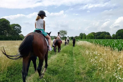 Varese: Horseback Riding through Woodlands and Meadows with Lunch in Fagnano Olona Lunch