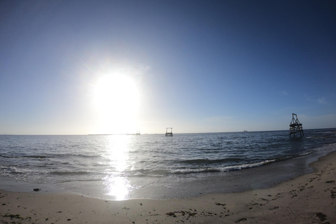 Swakopmund: Sunset Kayaking Tour with Hotel Pickup