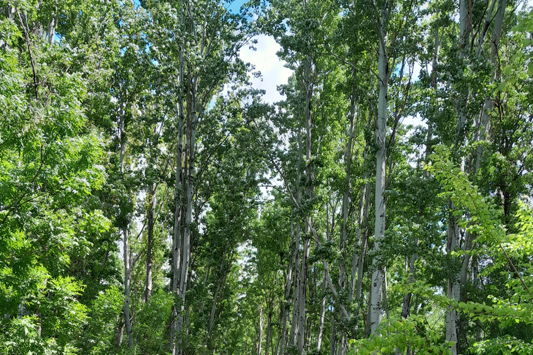 Beirut: Baalbek, Anjar & Ksara Private Tour