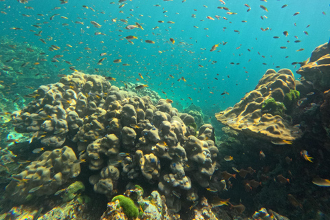 Ko Lanta: Koh Rok e Koh Haa Snorkeling a excursão das joias de Andaman