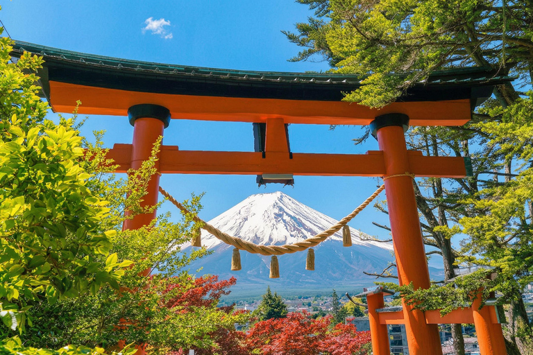 Tokyo: Mt Fuji & Oishi Park, Oshino Hakkai, Chureito Pagoda Free Karaage Chicken Set | Tokyo Station 8:00AM