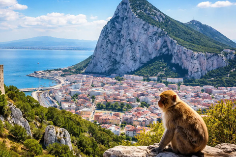 Gibraltar at your own pace with full assistance from Málaga Gibraltar Day Trip with full assistence from Málaga