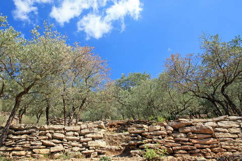 Luberon: Pestmauer-Radtour