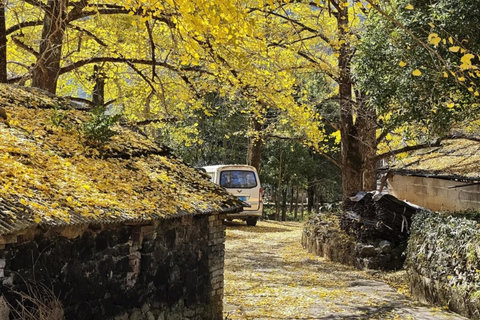 Guilin: Private Ginkgo Village and DaXu Ancient Town Tour