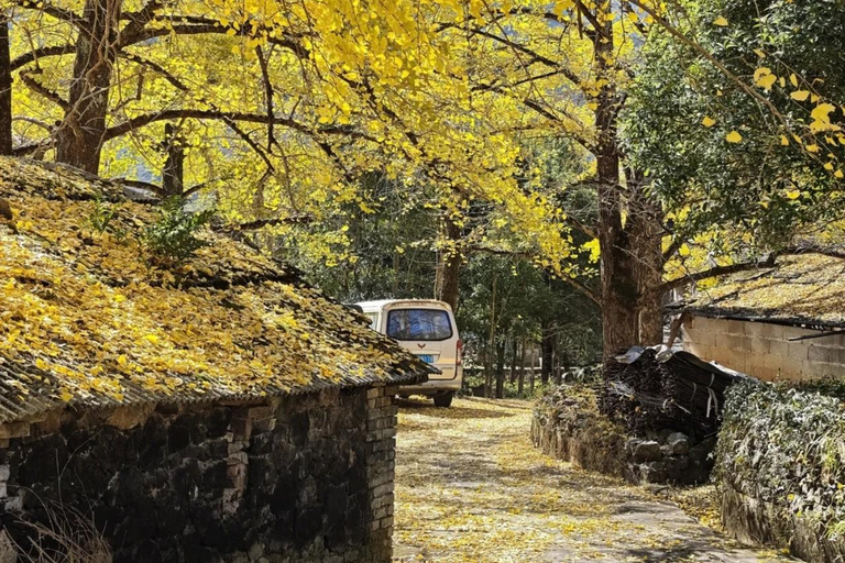 Guilin: Private Ginkgo Village and DaXu Ancient Town Tour