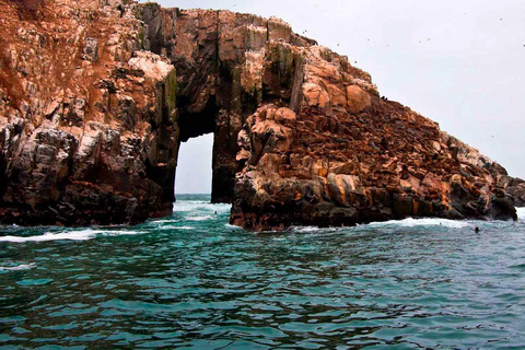 Desde Lima: Islas Palomino