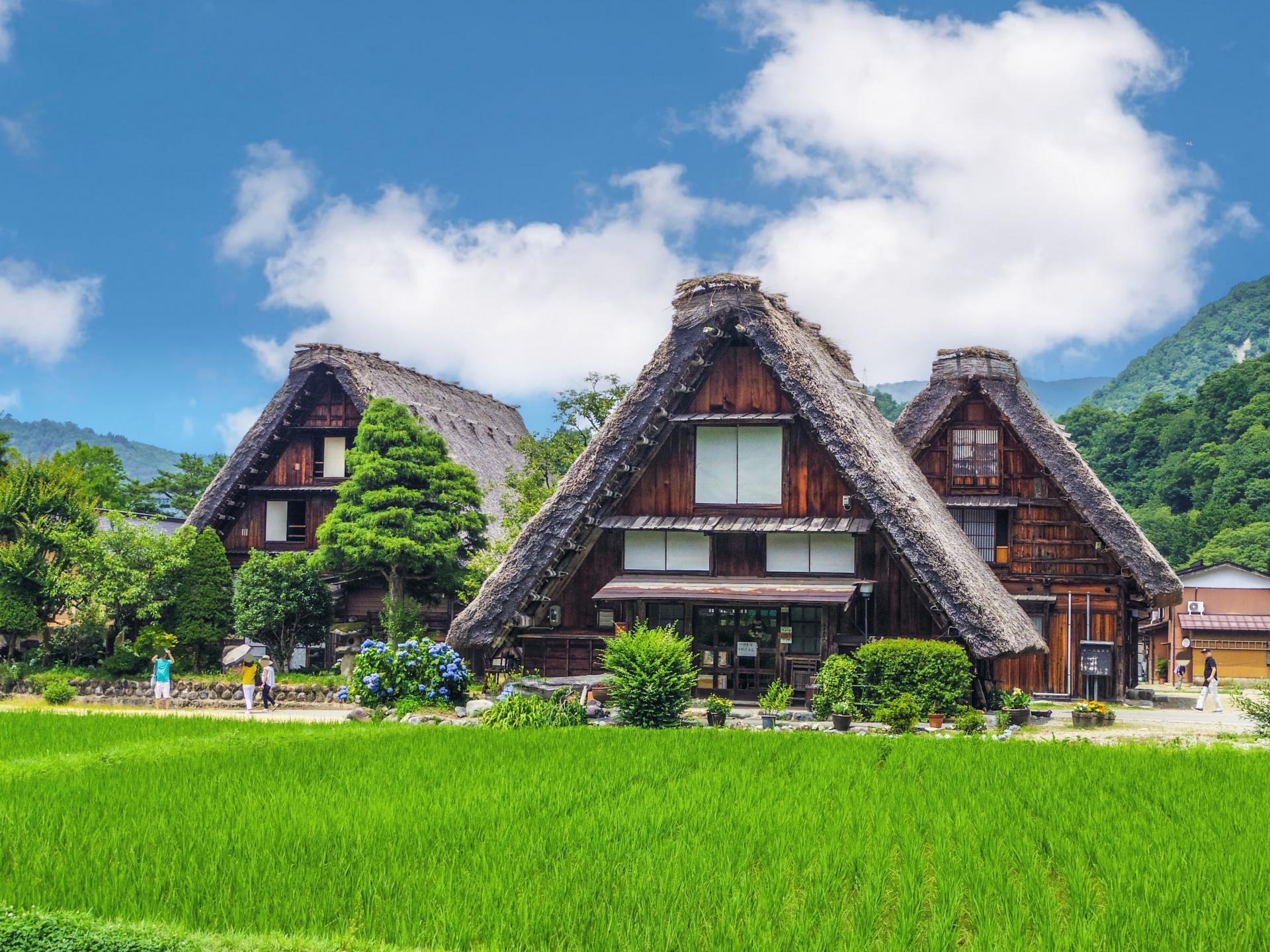 Shirakawago&HidaTakayama&GujoHachiman 1 Day Tour from Nagoya